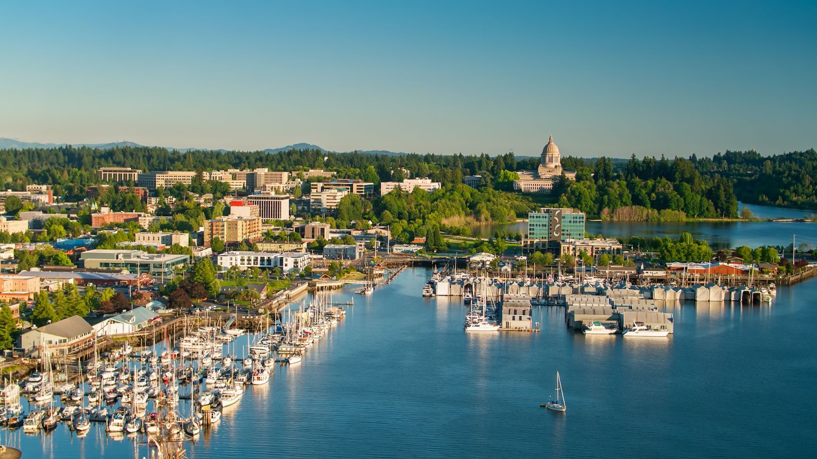 Celebrating Bremerton: Local Festivals You Shouldn’t Miss